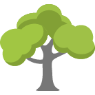 Indianapolis Tree Removal Service