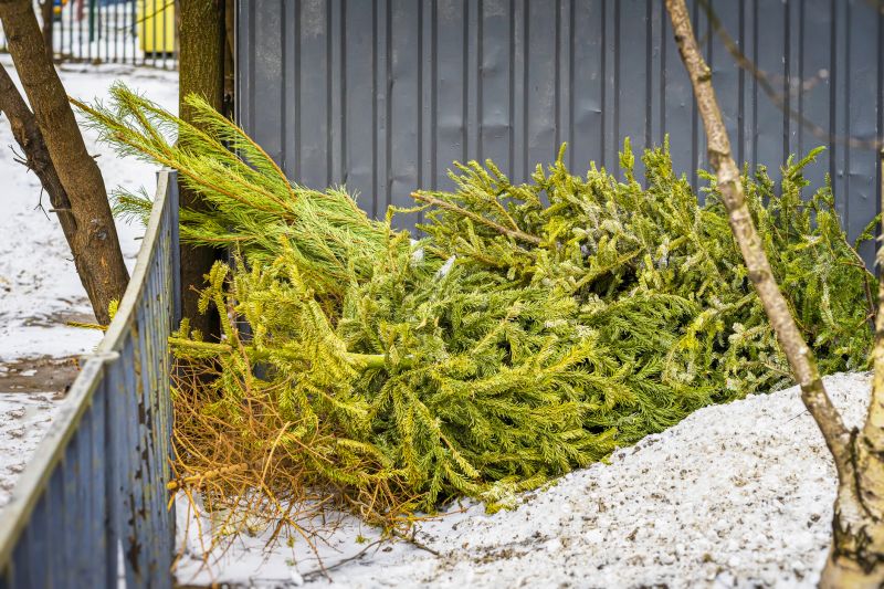 Felled Tree in Winter