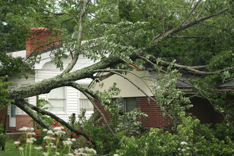 Storm Damage Response Teams